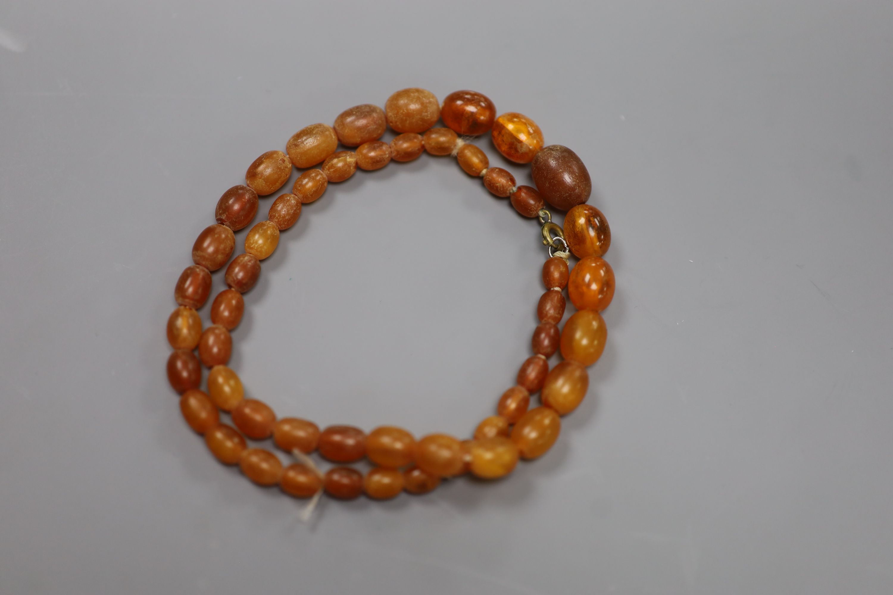 A single strand graduated oval amber bead necklace, 48cm, gross weight 17 grams.